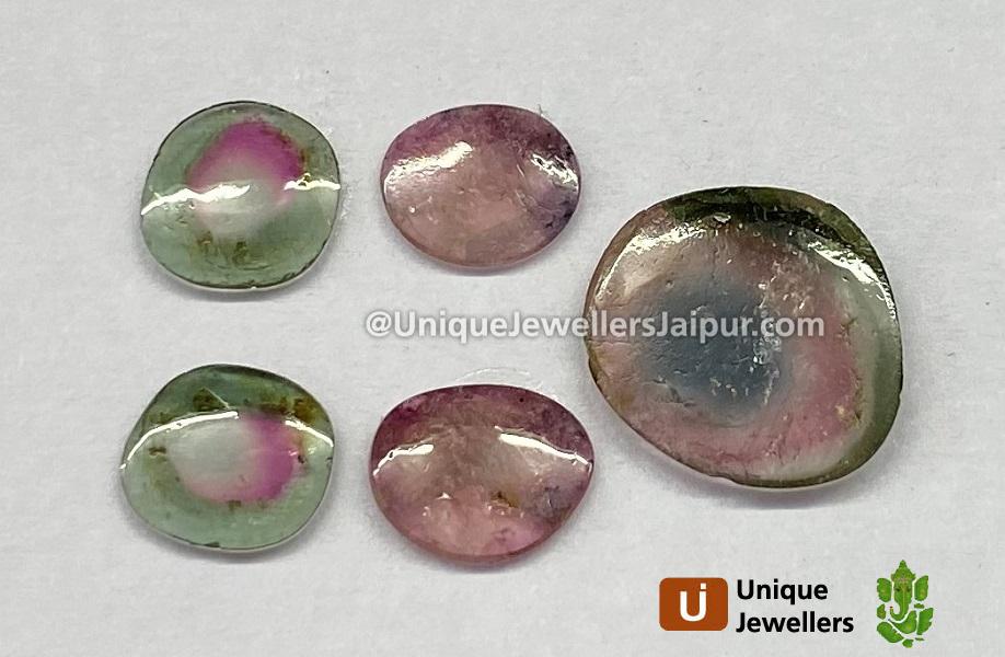 Watermelon Tourmaline Smooth Slices