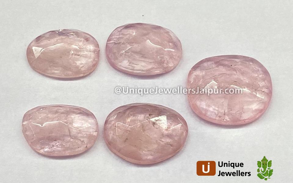 Morganite Rose Cut Slices