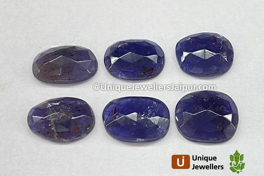 Iolite Sunstone Rose Cut Slices