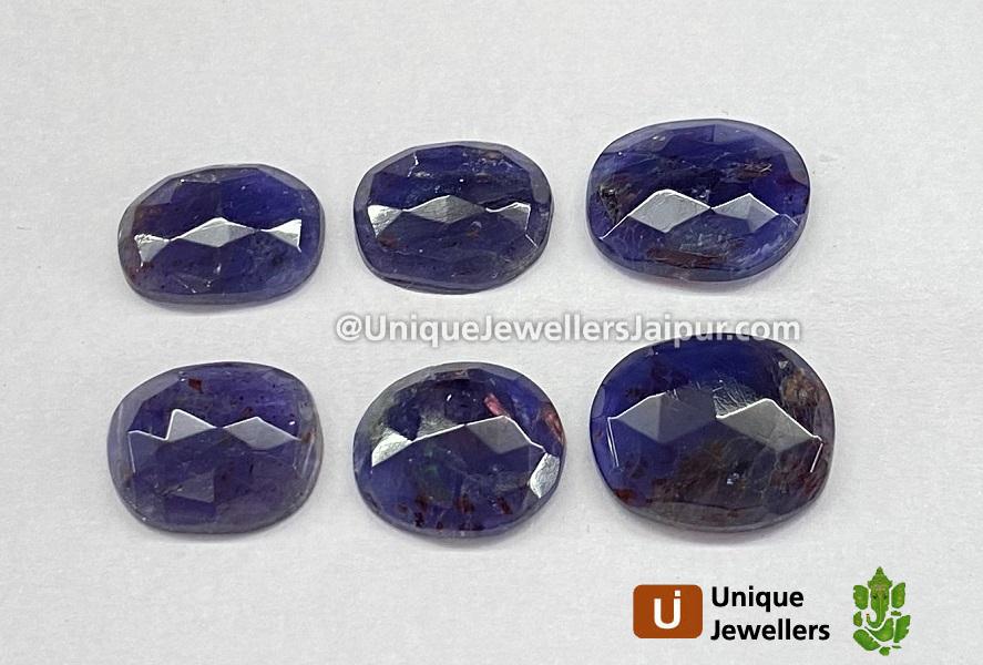 Iolite Sunstone Rose Cut Slices