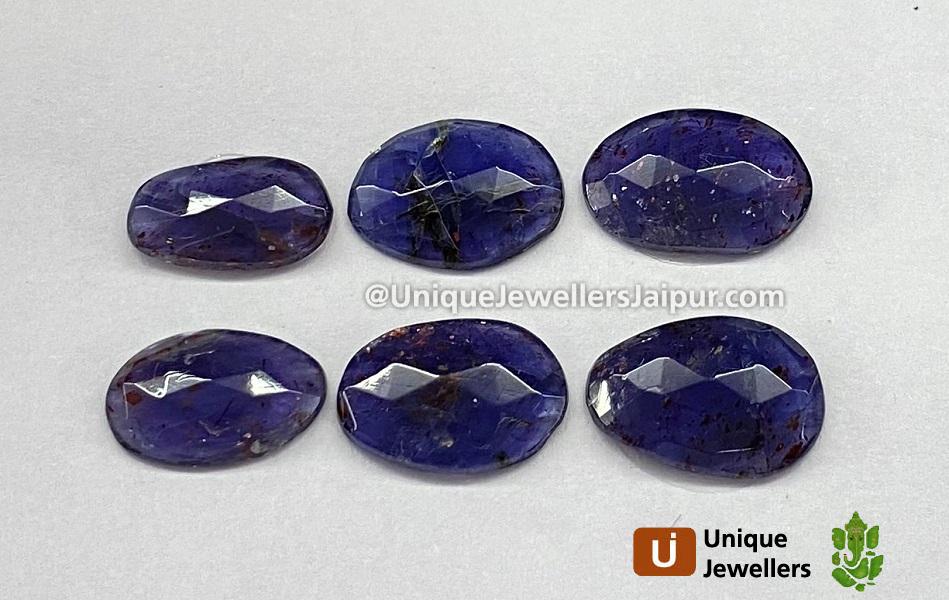 Iolite Sunstone Rose Cut Slices