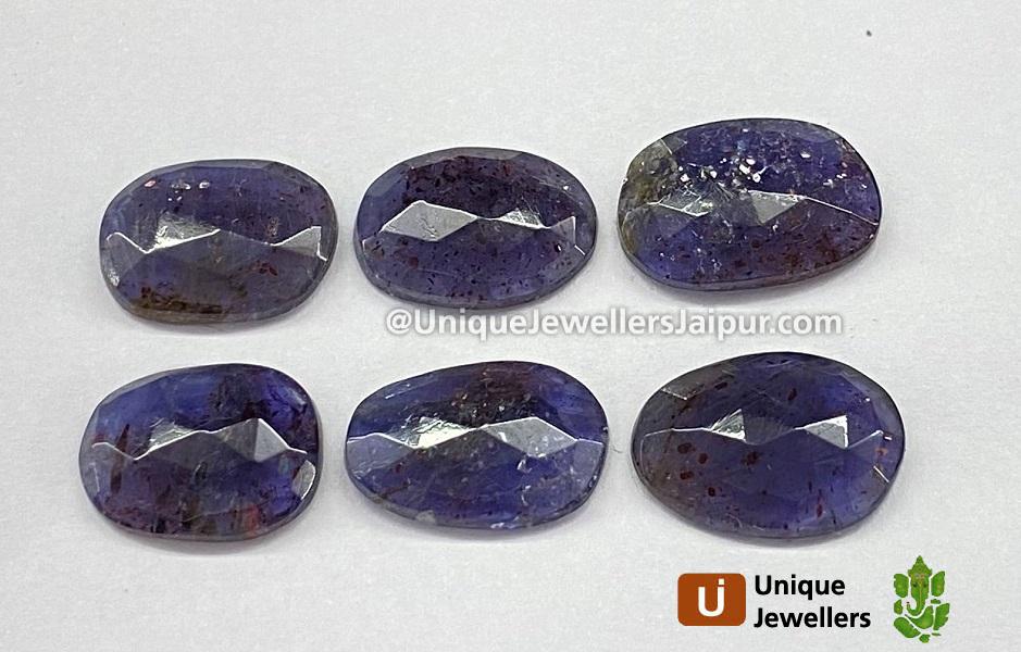 Iolite Sunstone Rose Cut Slices