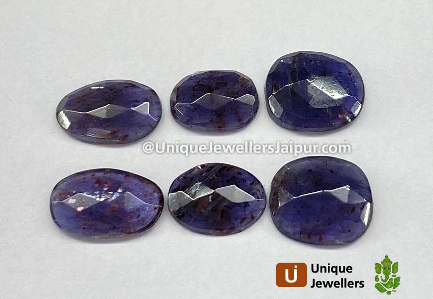 Iolite Sunstone Rose Cut Slices