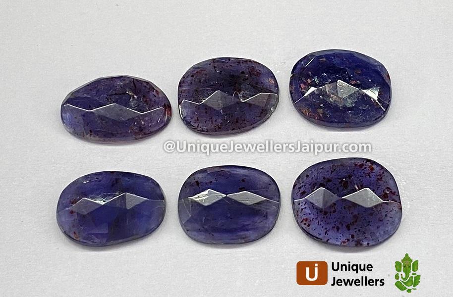 Iolite Sunstone Rose Cut Slices