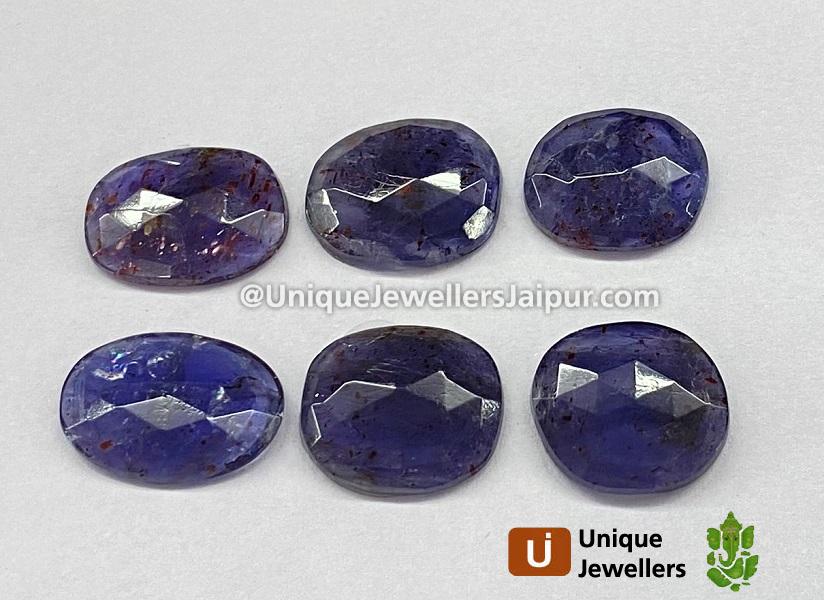 Iolite Sunstone Rose Cut Slices