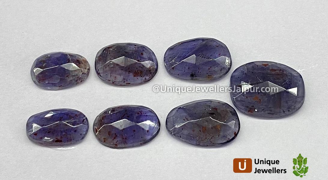 Iolite Sunstone Rose Cut Slices