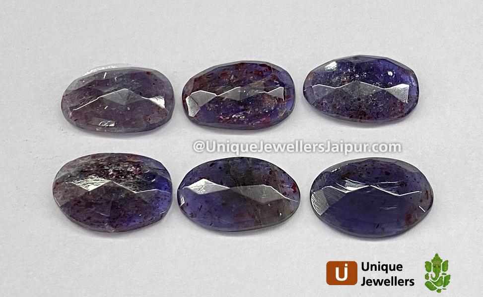 Iolite Sunstone Rose Cut Slices