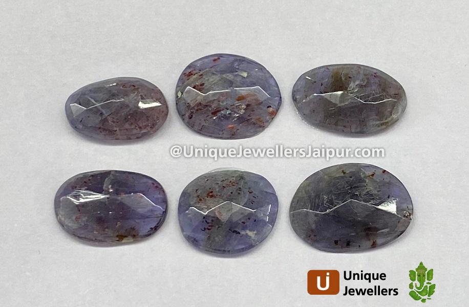 Iolite Sunstone Rose Cut Slices