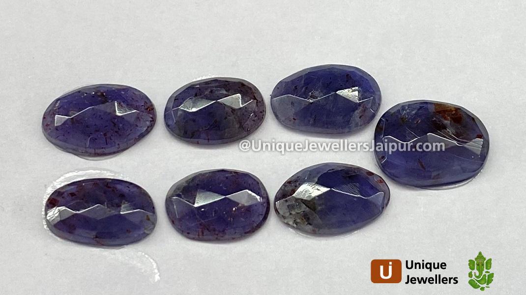 Iolite Sunstone Rose Cut Slices