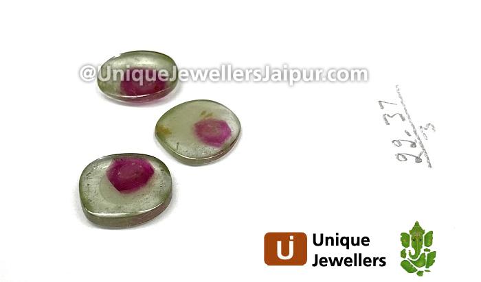 Watermelon Tourmaline Smooth Slices