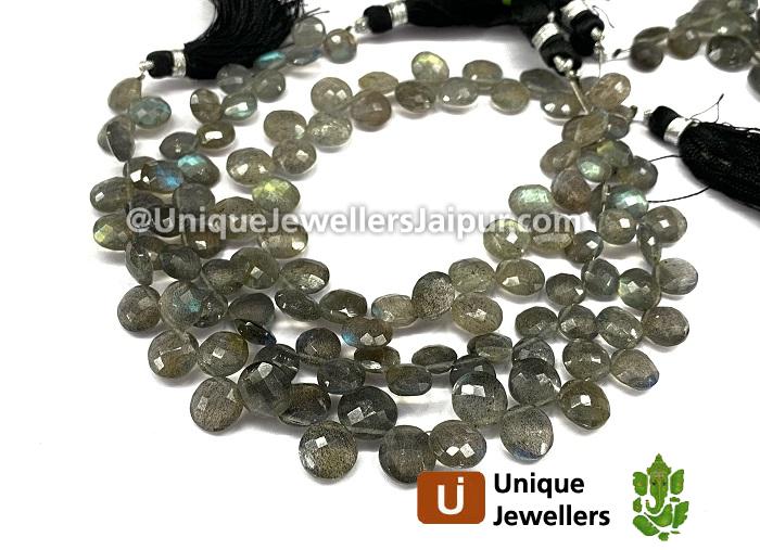 Labradorite Faceted Coin Beads