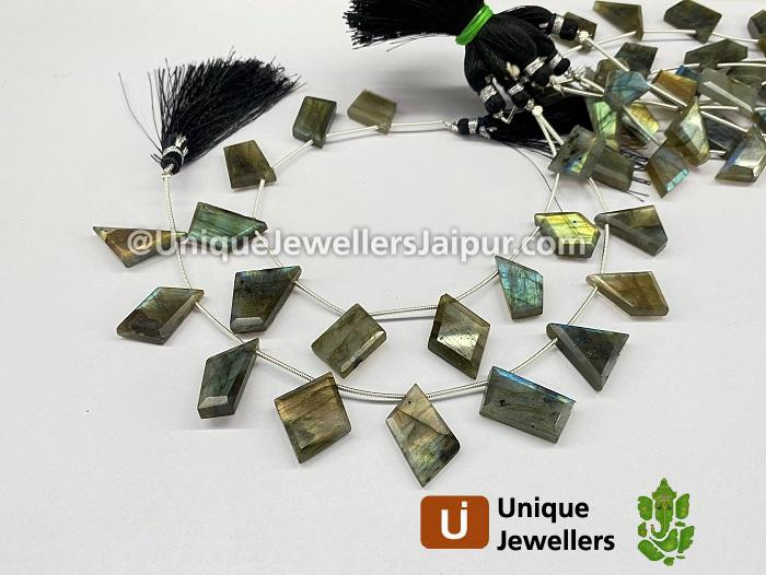 Labradorite Faceted Flat Table Cut Fancy Beads