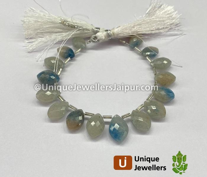 Lazulite Or Trolleite Quartz Faceted Dolphin Pear Beads