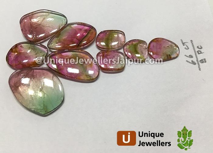 Bi Colour Tourmaline Smooth Slices