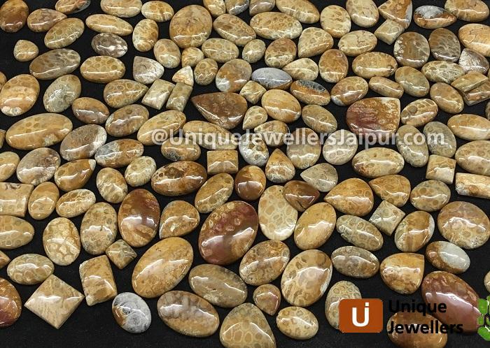 Fossil Coral Far Smooth Cabochons