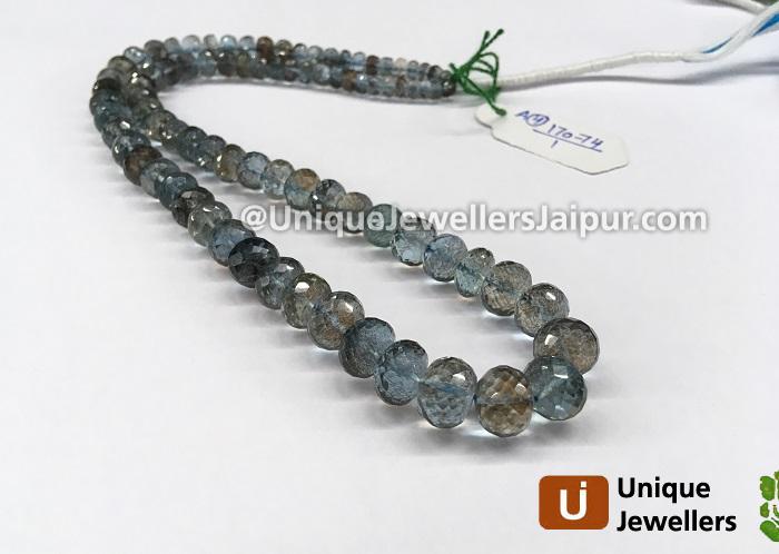 Moss Aquamarine Faceted Roundelle Beads