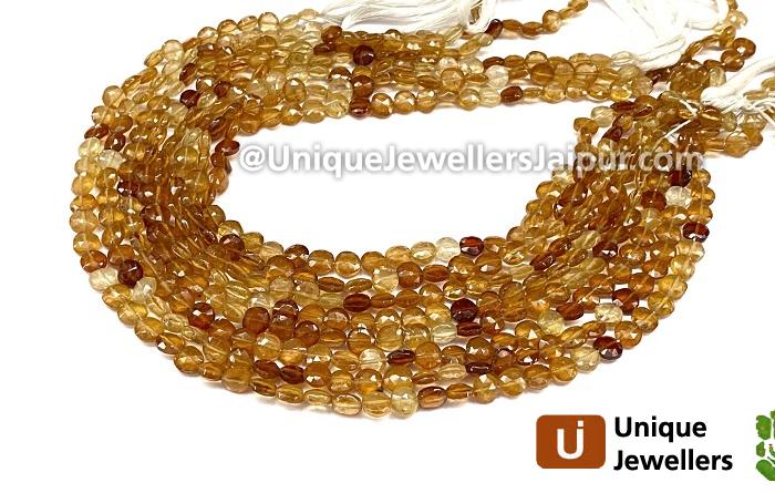 Hessonite Faceted Coin Beads