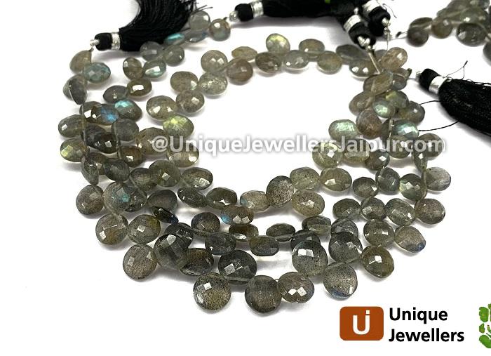 Labradorite Faceted Coin Beads