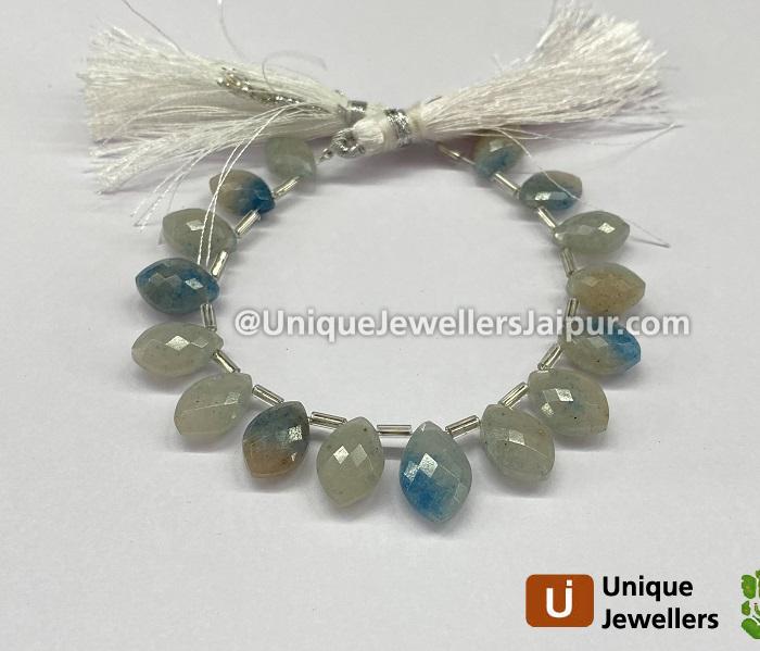 Lazulite Or Trolleite Quartz Faceted Dolphin Pear Beads