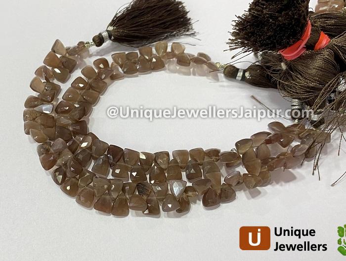 Chocolate Moonstone Faceted Pyramid Beads